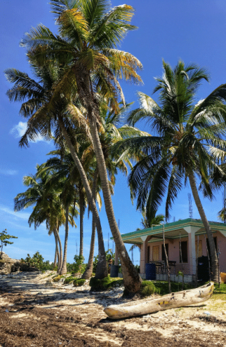 claudia-altamimi-_rMOy3Ffgpg-unsplash